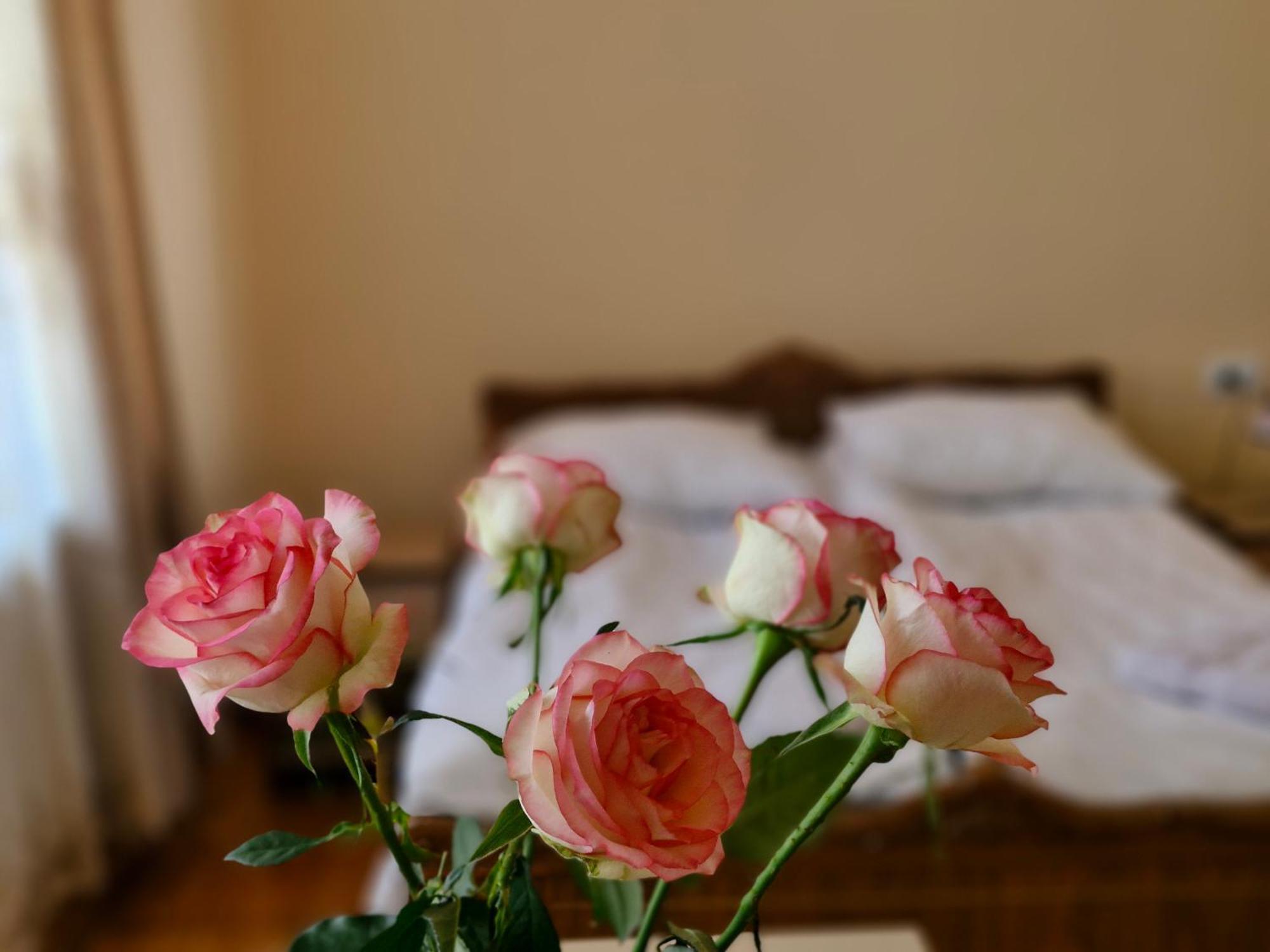 Guest House David'S B&B Giumri Zewnętrze zdjęcie