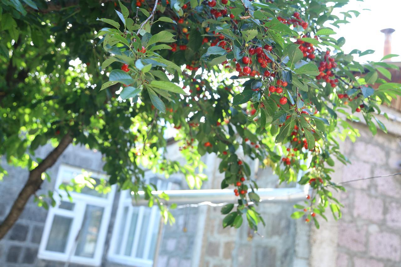 Guest House David'S B&B Giumri Zewnętrze zdjęcie